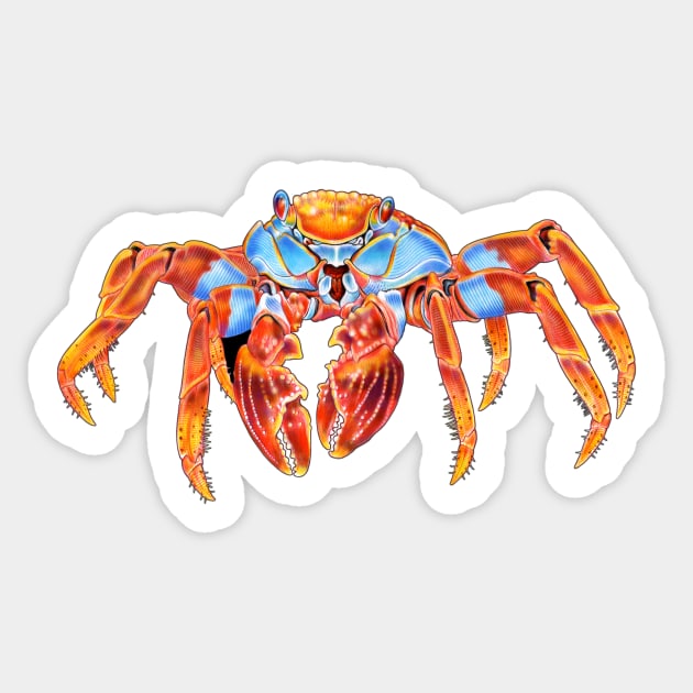 Sally Lightfoot Crab Sticker by Tim Jeffs Art